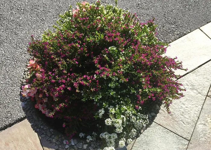 Maison d'hôtes Wieser 